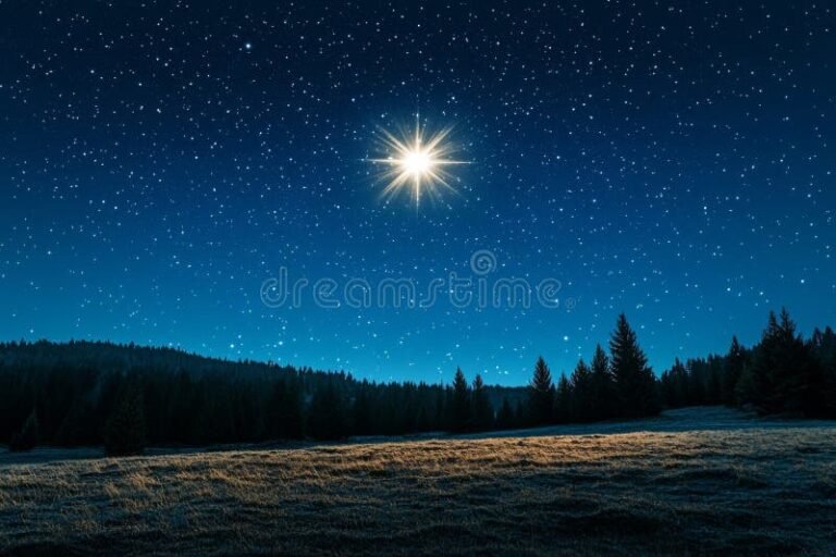 paesaggio notturno con stelle luminose cielo